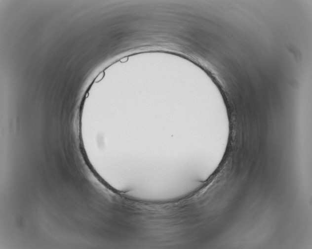 X0000110971516200907171659