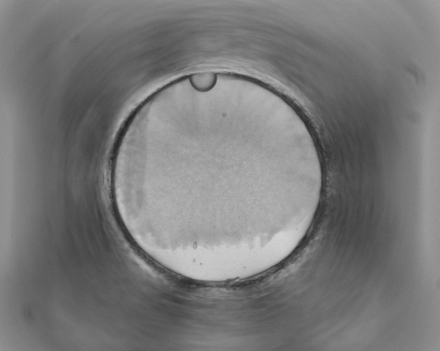 X0000110971517200907171659