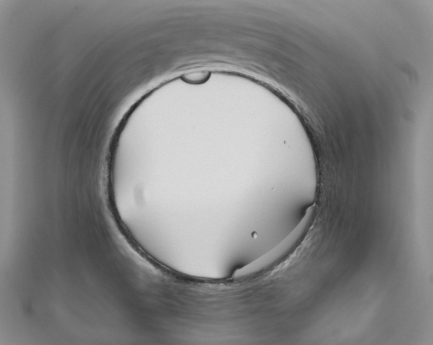 X0000110971518200907171659