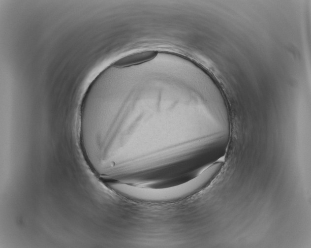 X0000110971520200907171659
