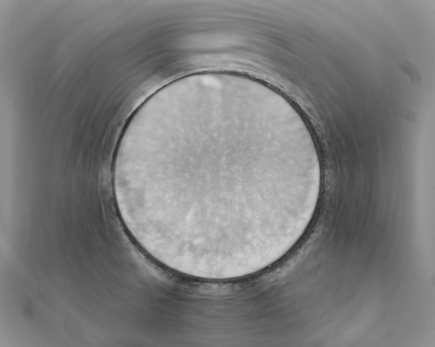 X0000110971521200907171659