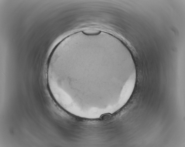 X0000110971522200907171659