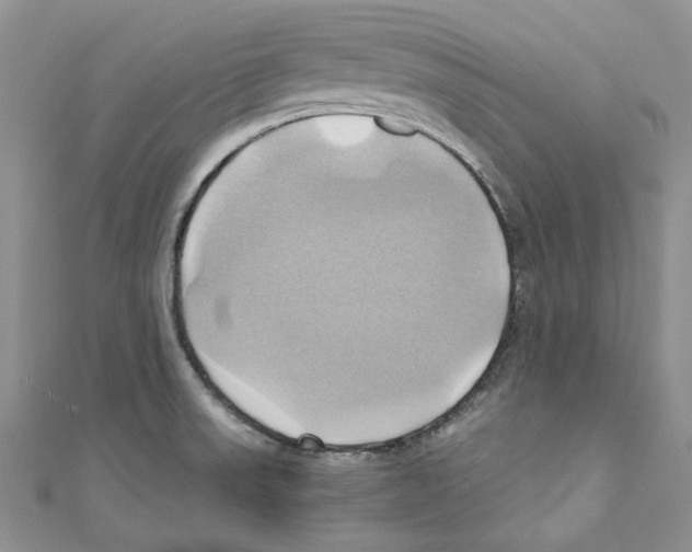 X0000110971523200907171659