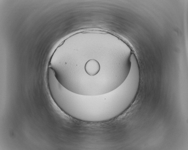 X0000110971524200907171659