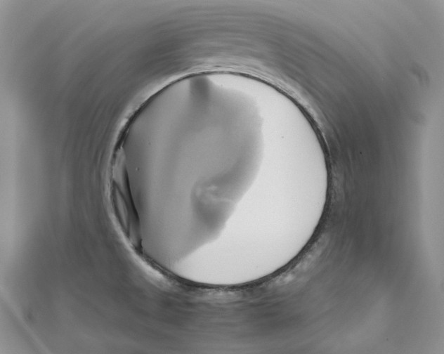 X0000110971525200907171659