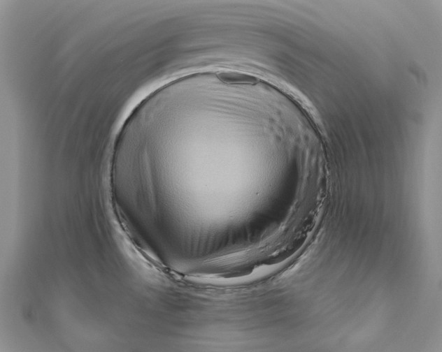 X0000110971530200907171700