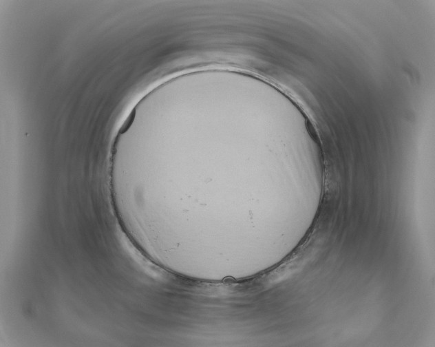 X0000110971532200907171700