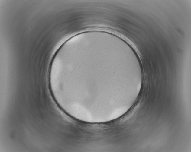 X0000110971533200907171700