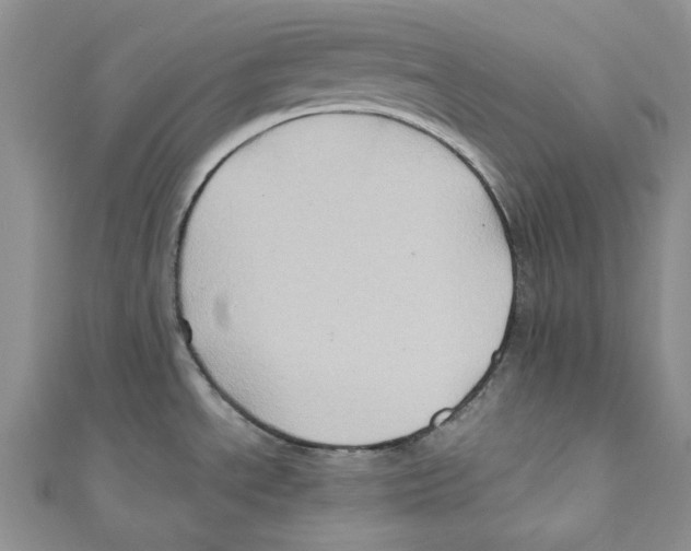 X0000110971534200907171700