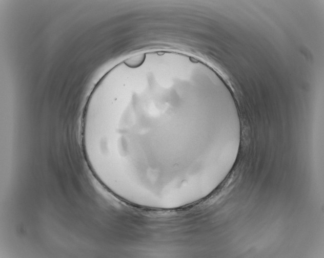X0000110971535200907171700