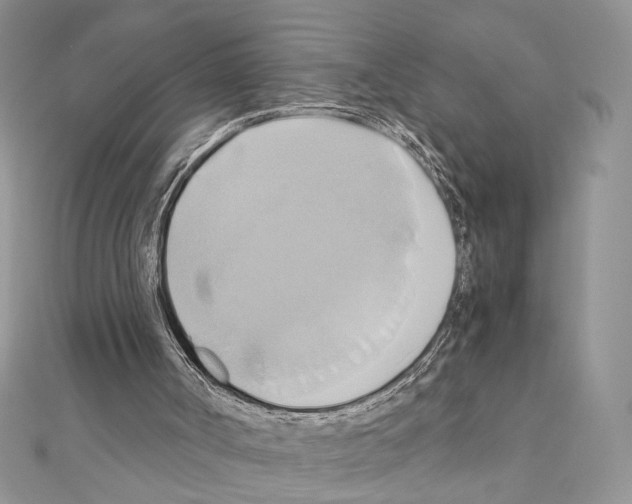 X0000110970002200907310939