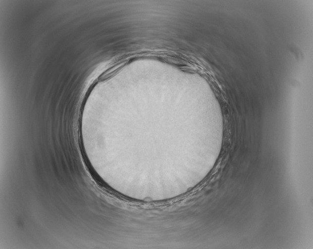 X0000110970003200907310939