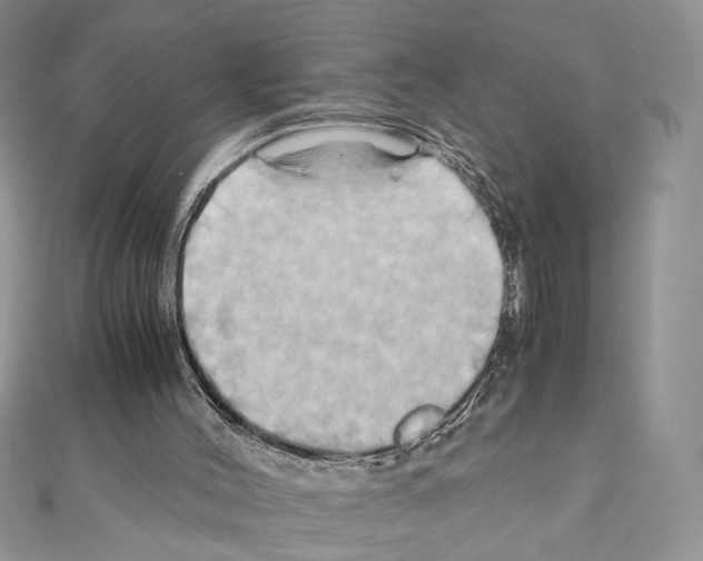 X0000110970004200907310939