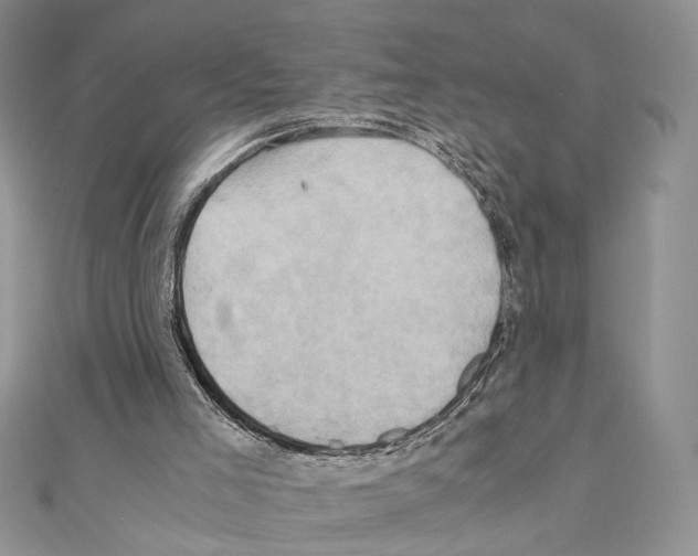 X0000110970005200907310939