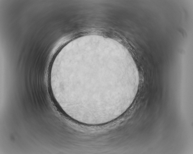 X0000110970006200907310939