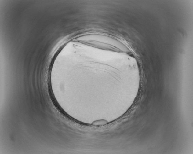X0000110970007200907310939