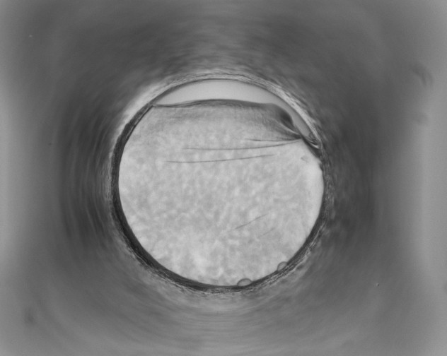 X0000110970008200907310939