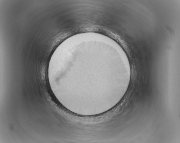 X0000110970010200907310938