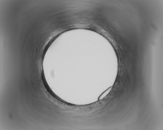X0000110970011200907310938