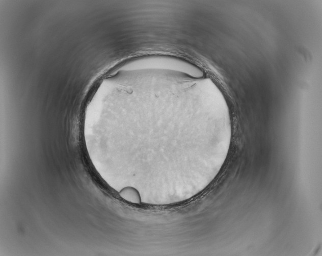 X0000110970012200907310938