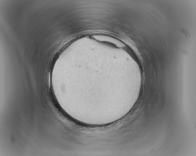 X0000110970013200907310938