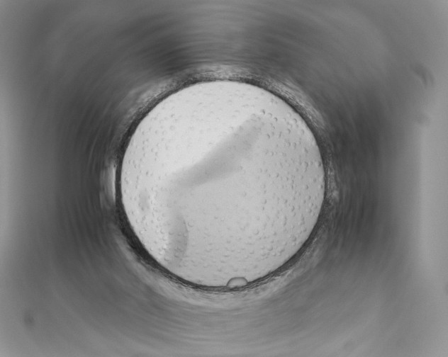 X0000110970014200907310938
