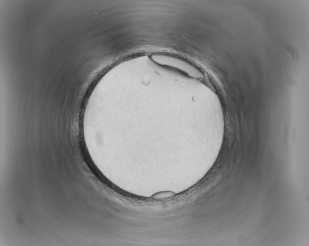 X0000110970015200907310938