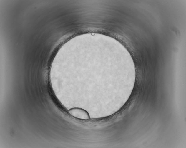X0000110970016200907310938