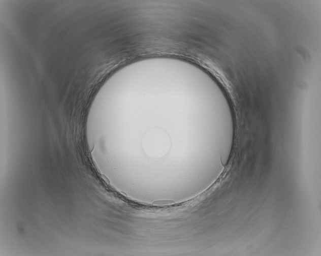 X0000110970017200907310938