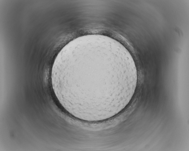X0000110970018200907310938