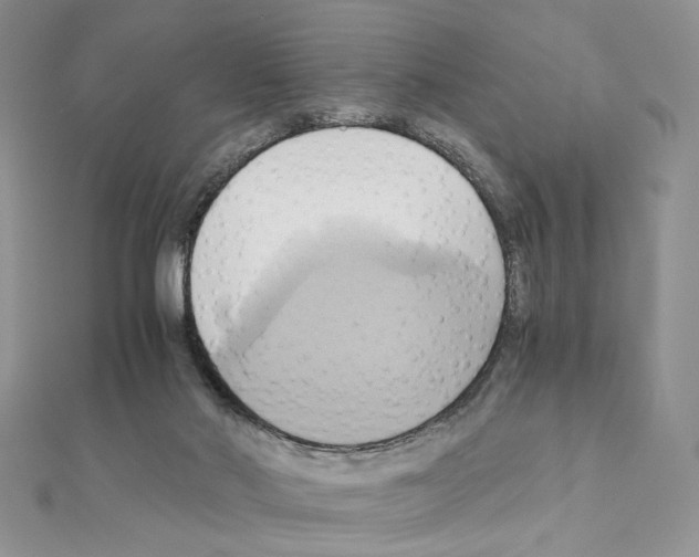 X0000110970022200907310938
