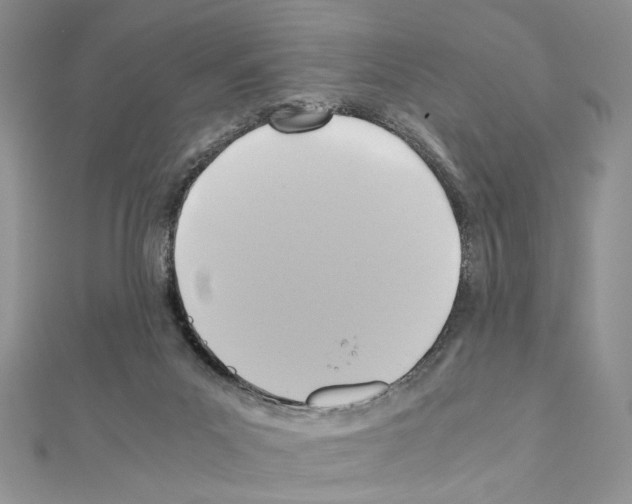 X0000110970023200907310938