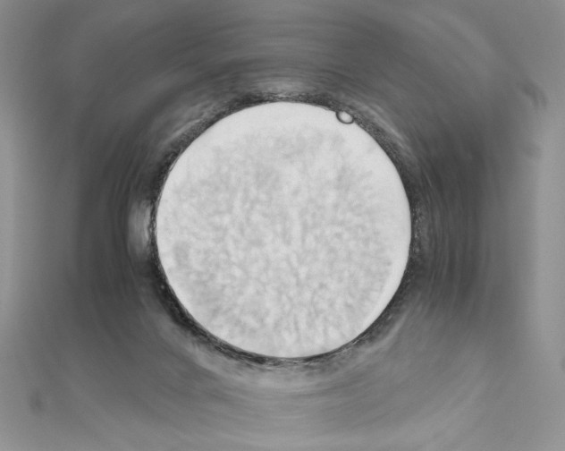 X0000110970024200907310938