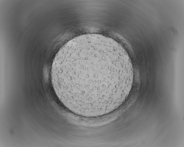 X0000110970026200907310938