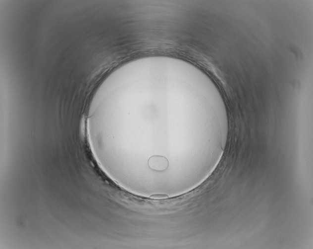 X0000110970027200907310938