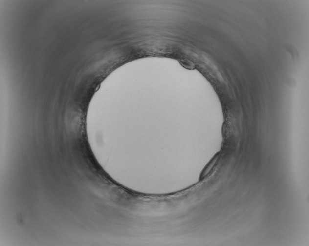 X0000110970029200907310938