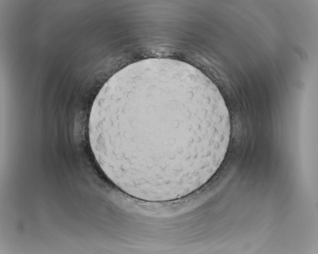 X0000110970030200907310938