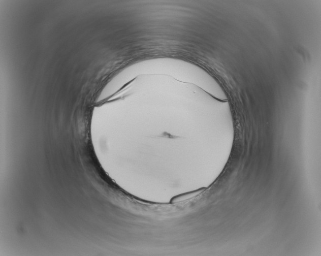X0000110970031200907310938
