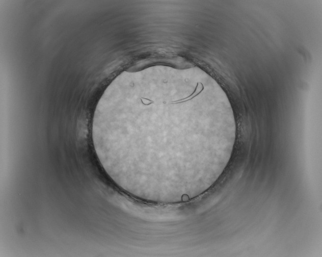 X0000110970032200907310938