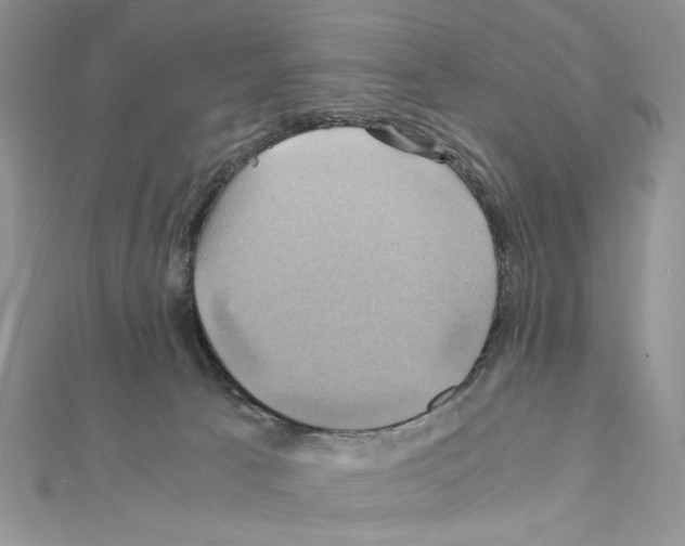X0000110970033200907310938
