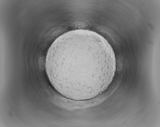 X0000110970034200907310938