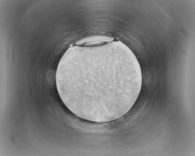 X0000110970036200907310938