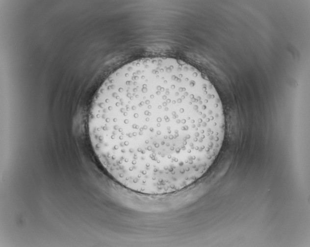 X0000110970038200907310938