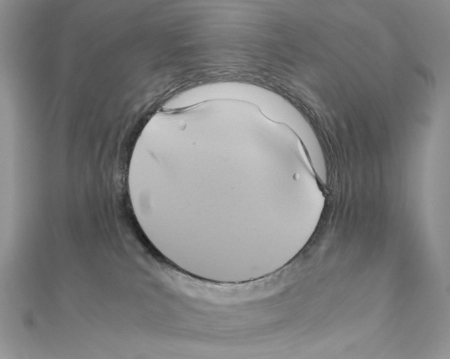 X0000110970039200907310938