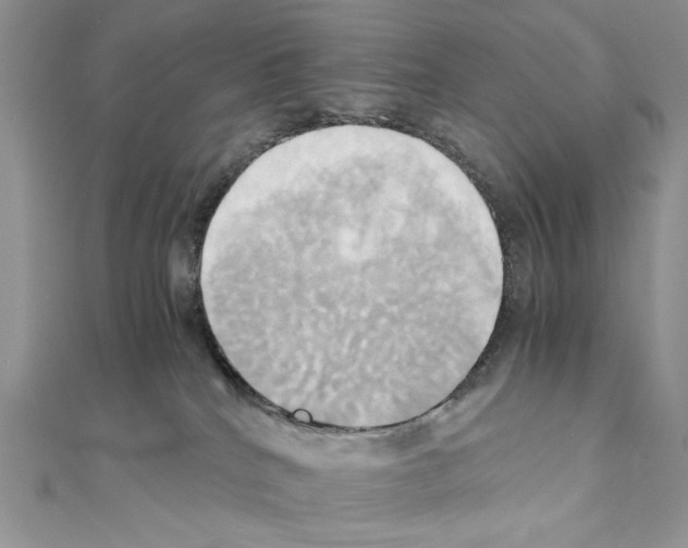 X0000110970040200907310938