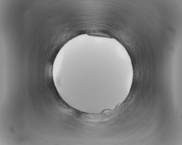 X0000110970041200907310938