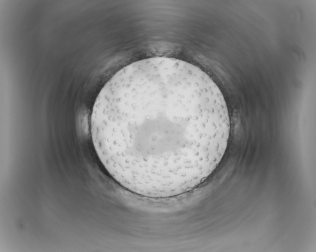 X0000110970042200907310938