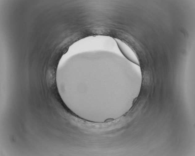 X0000110970043200907310938