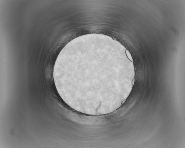X0000110970044200907310938
