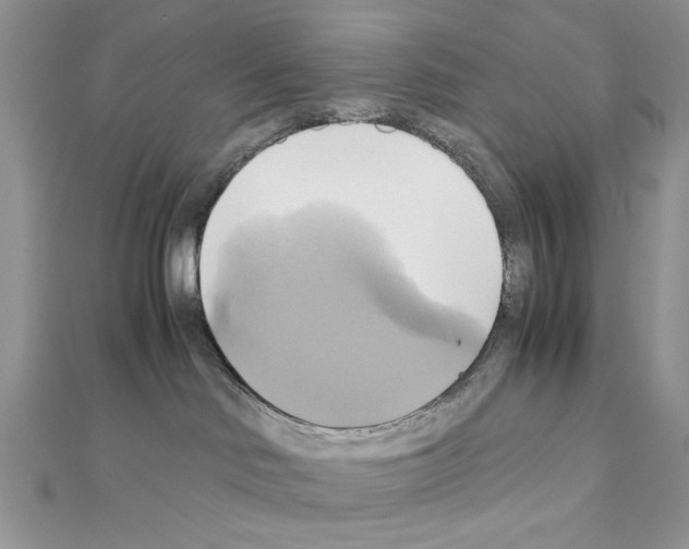 X0000110970046200907310938